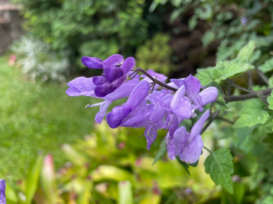 阿尔法精品汽车旅馆