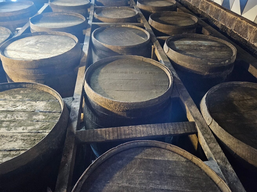 Verde Minas Passeio-蒙特贝尔德必去景点