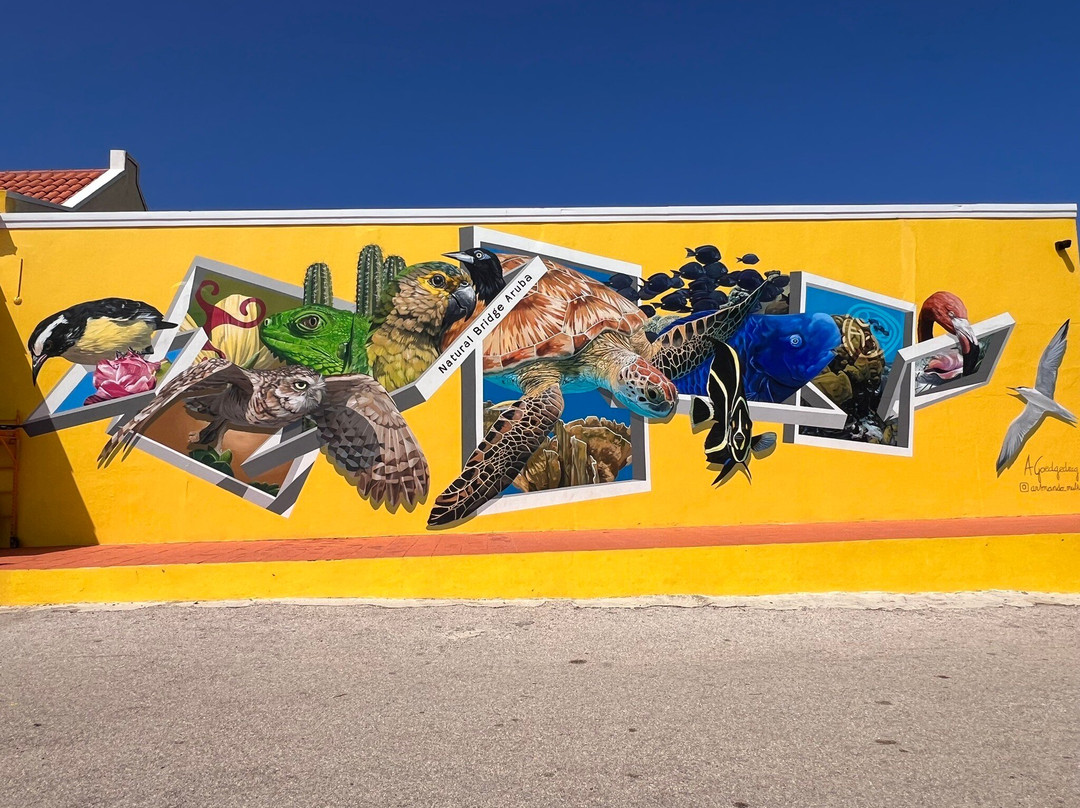 Aruba Fantasy Tours-奥腊涅斯塔德必去景点