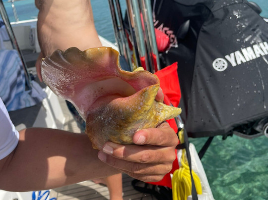 Adventure Charter-大开曼岛必去景点