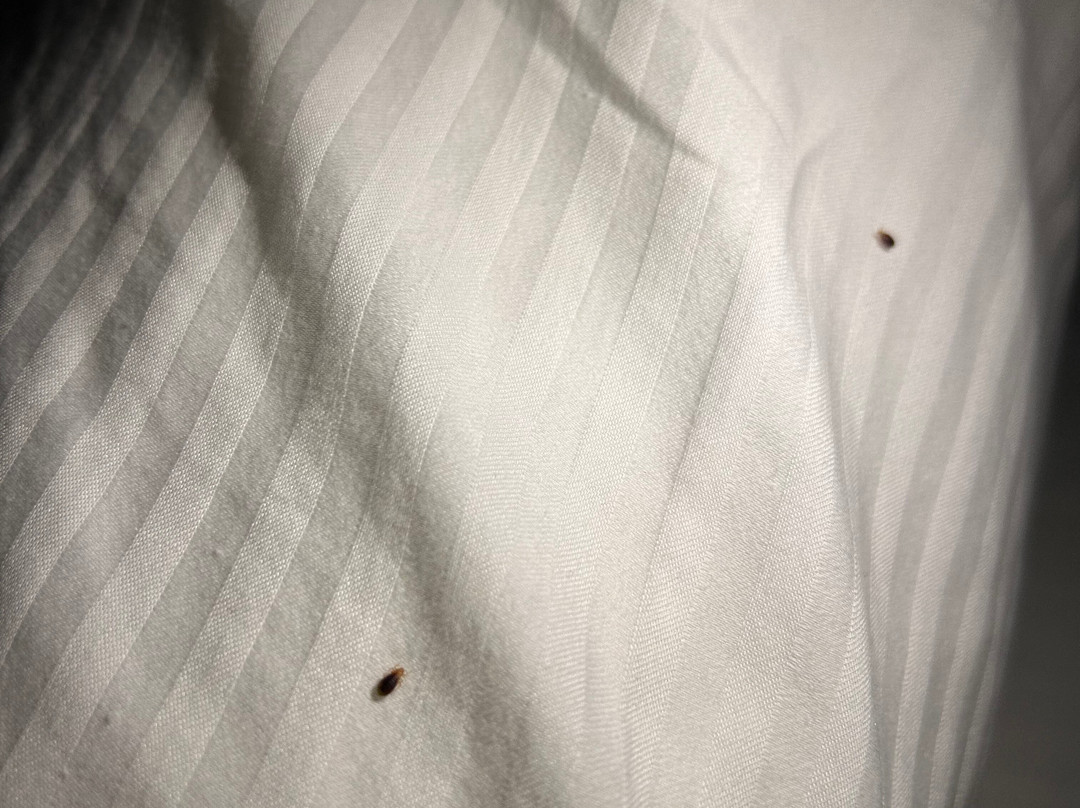 Miles City Hotel & Suites主图