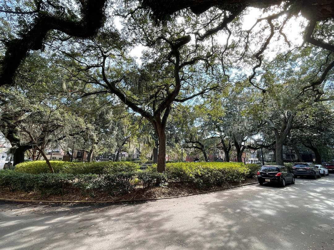 Savannah On Wheels-萨凡纳必去景点