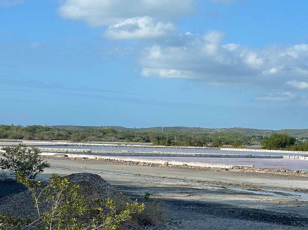 Salinas de Cabo Rojo-Cabo Rojo必去景点