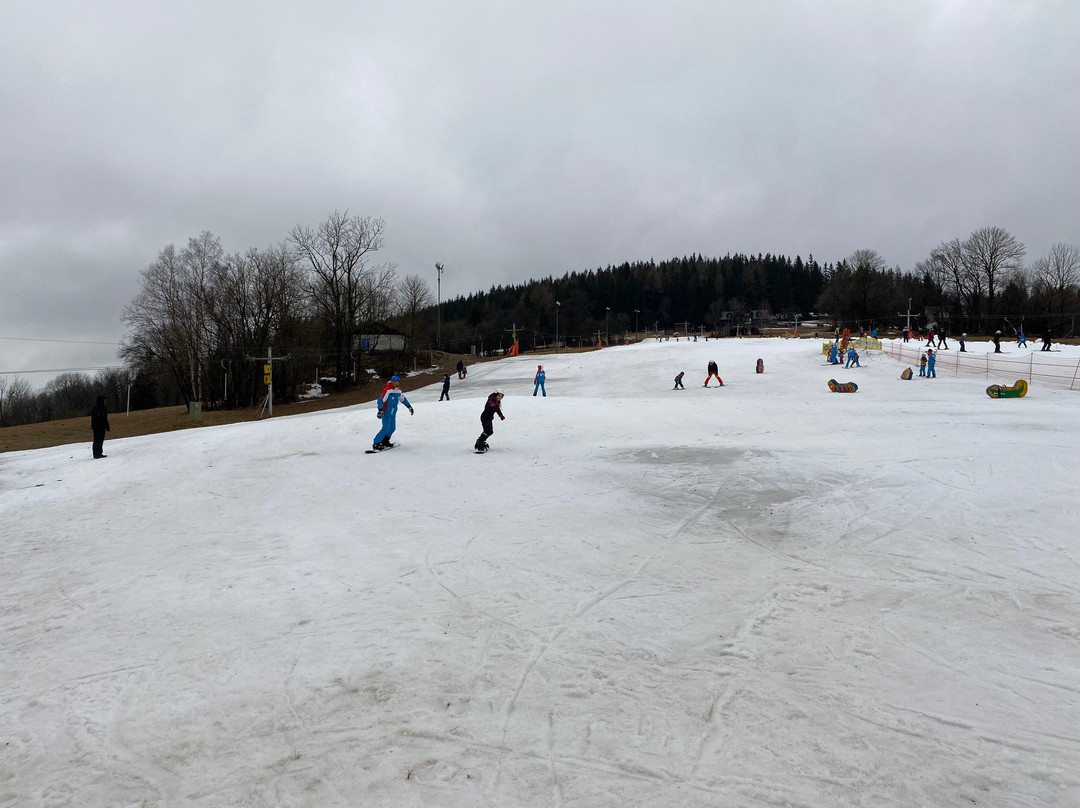 X Ski School景点图片