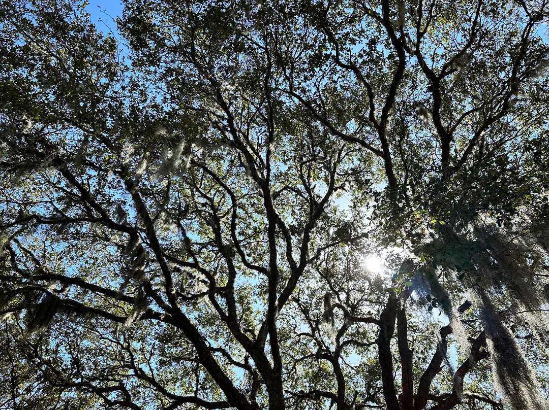 Jacksonville Arboreteum & Gardens-杰克逊维尔必去景点