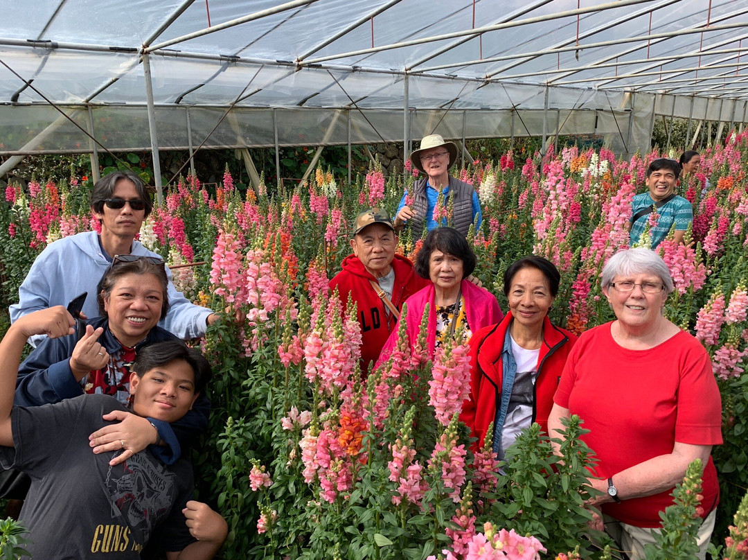 Northern Blossom Flower Farm-Atok必去景点