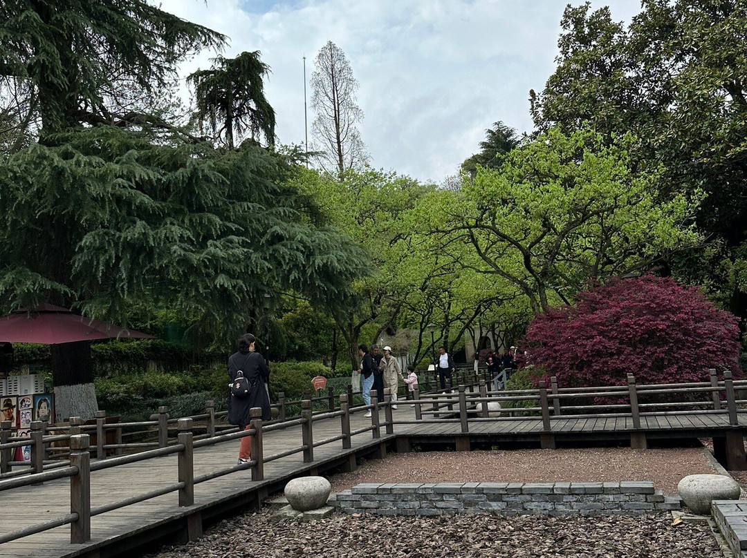 杭州中山公园景点图片