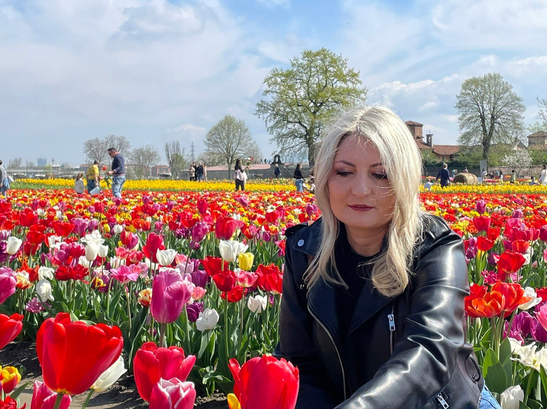 Tulipani Italiani Grugliasco