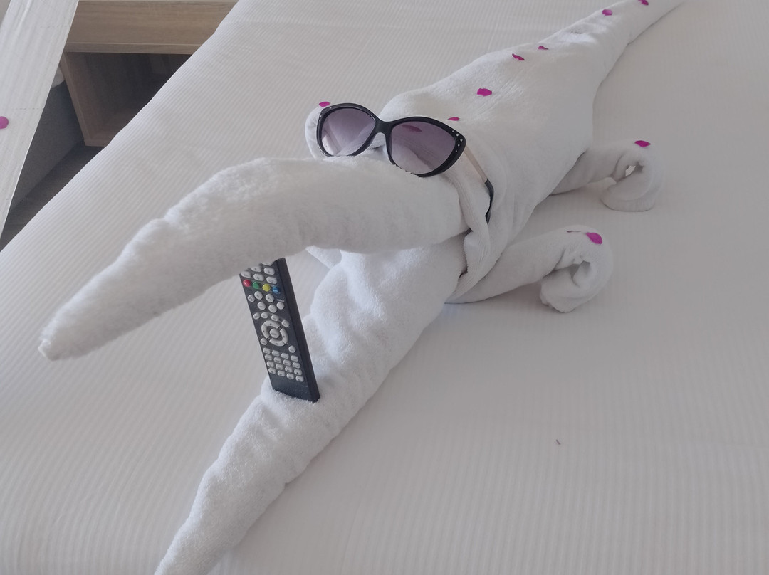 Seven Seas Jolie Bay主图