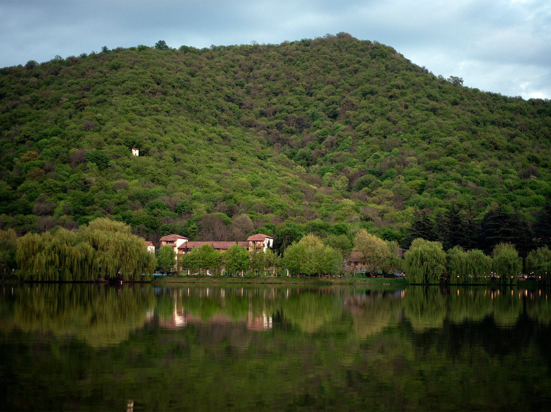 Lopota Lake Resort & Spa主图