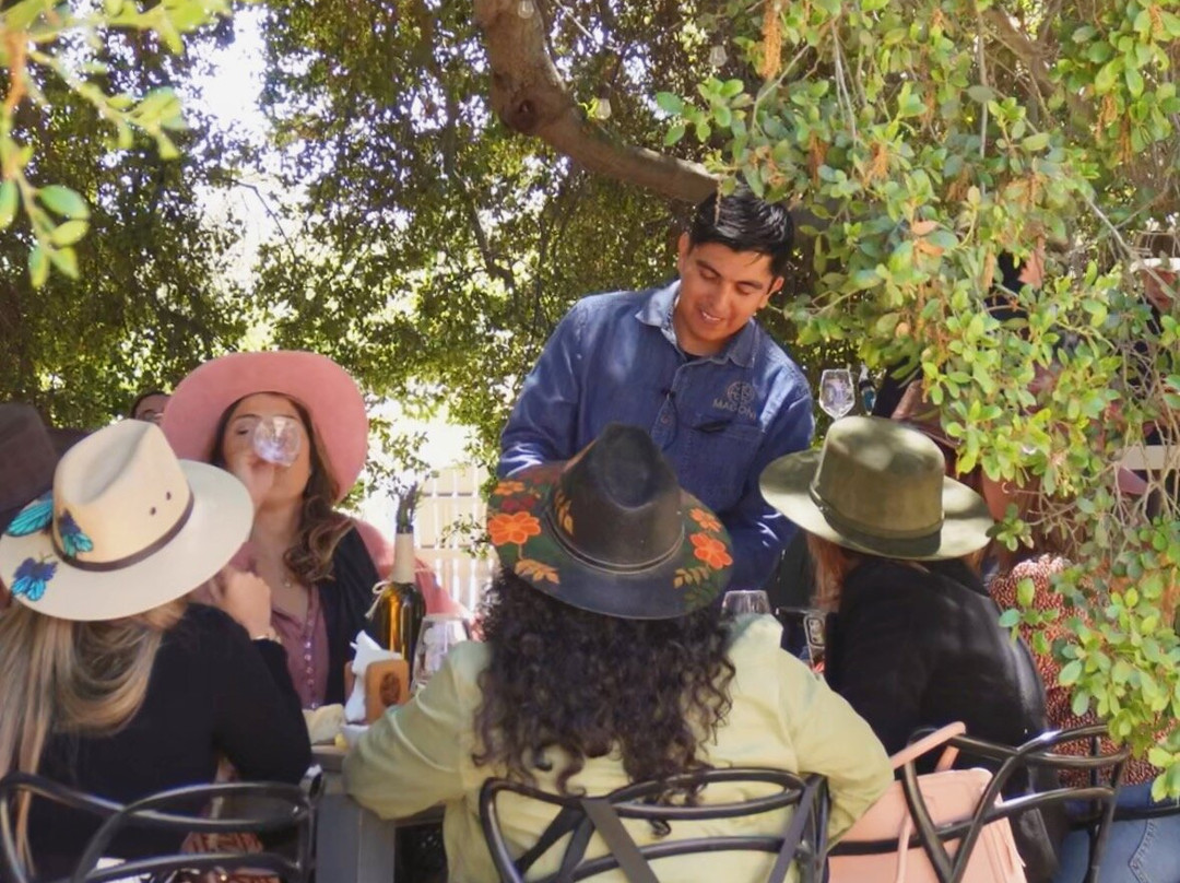 Bodegas Magoni-恩塞纳达必去景点