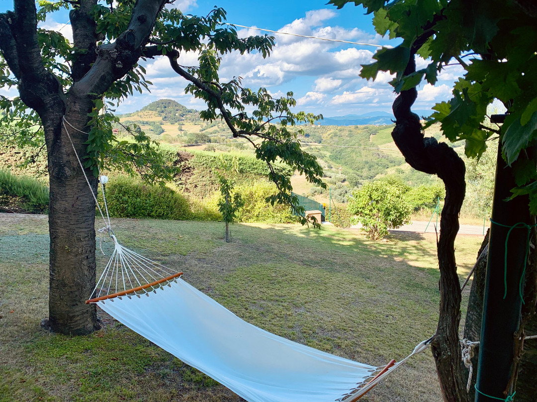 B&B Le Terrazze主图