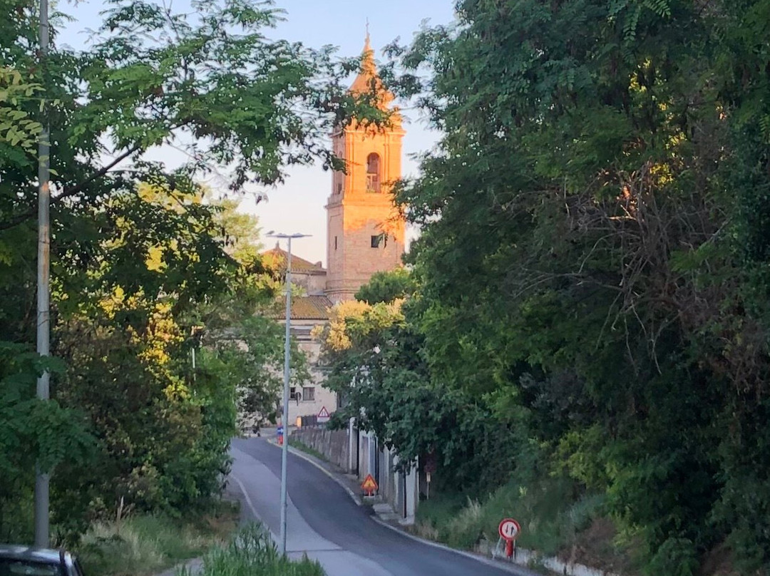 Chiesa di San Rocco景点图片