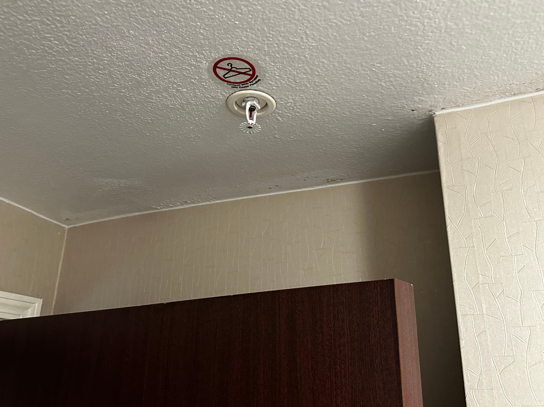 SpringHill Suites by Marriott Dallas Addison/Quorum Drive主图