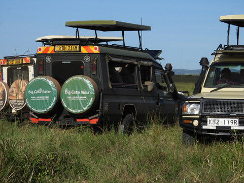 Big Cats Safari-那格浦尔必去景点