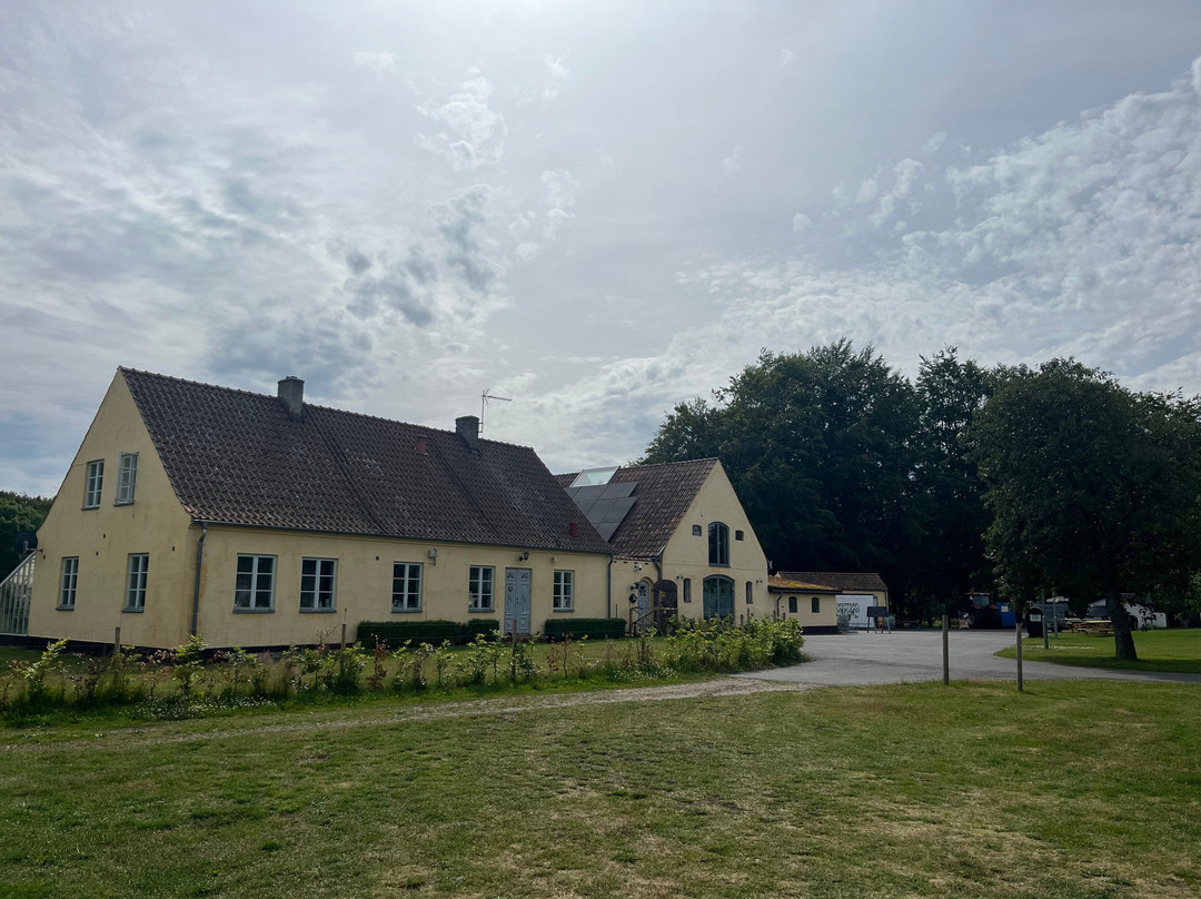 Skepparps Vingård-Kivik必去景点