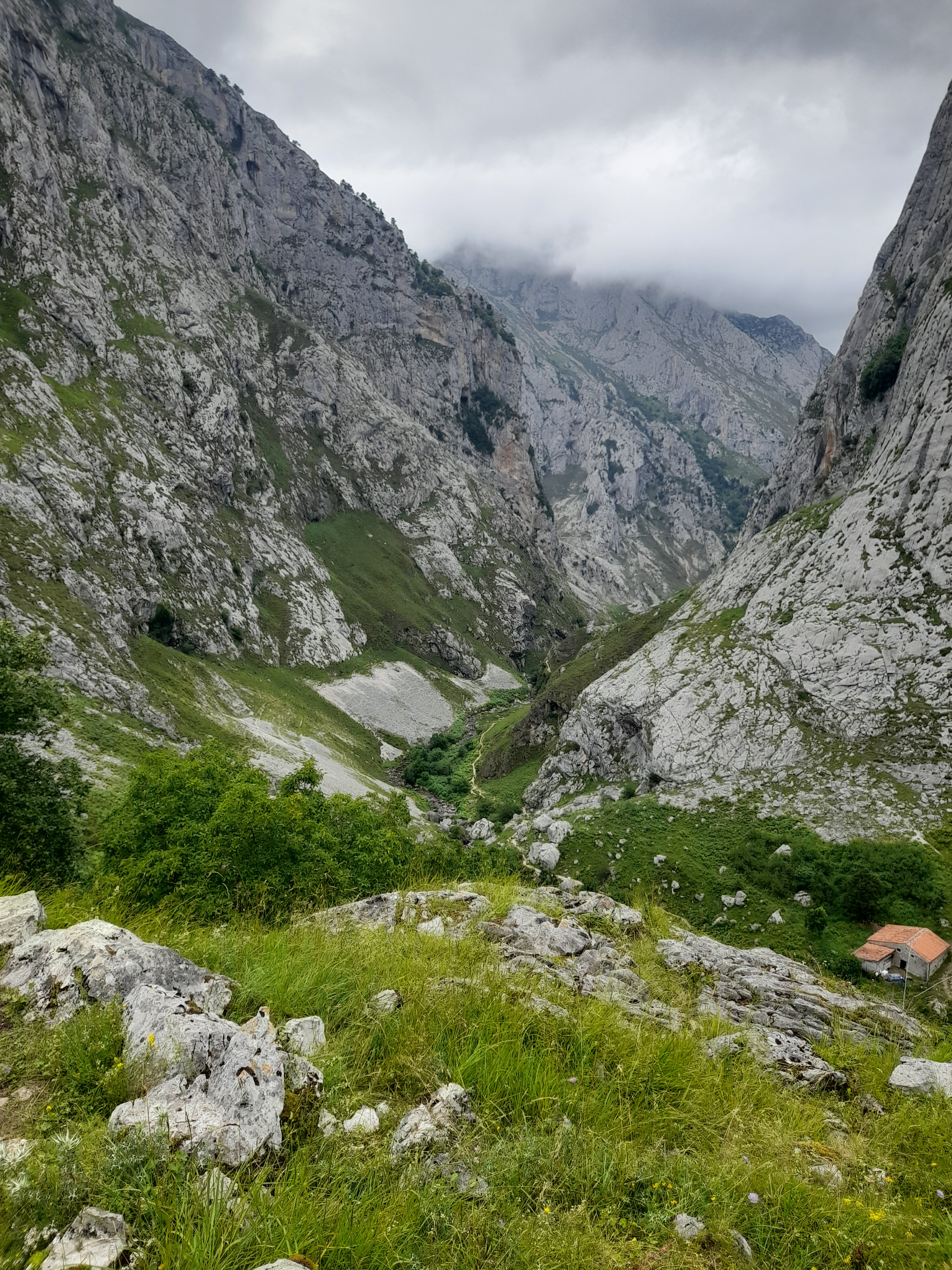 Hotel Picos de Europa-官方