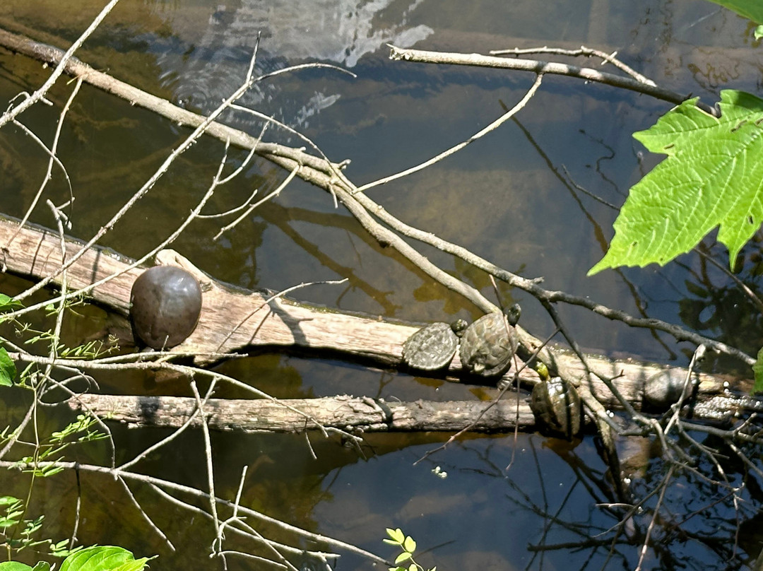 City of Marshall Riverwalk-Marshall必去景点