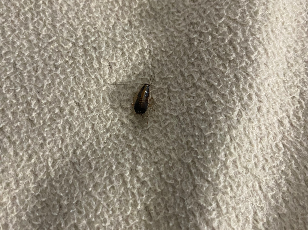 Super 8 by Wyndham Somerset主图