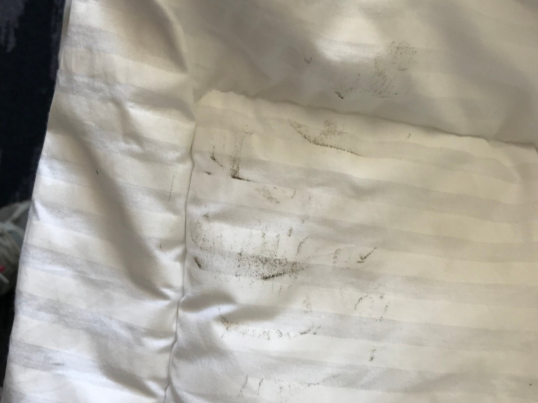 Fairfield by Marriott Inn & Suites Burlington主图