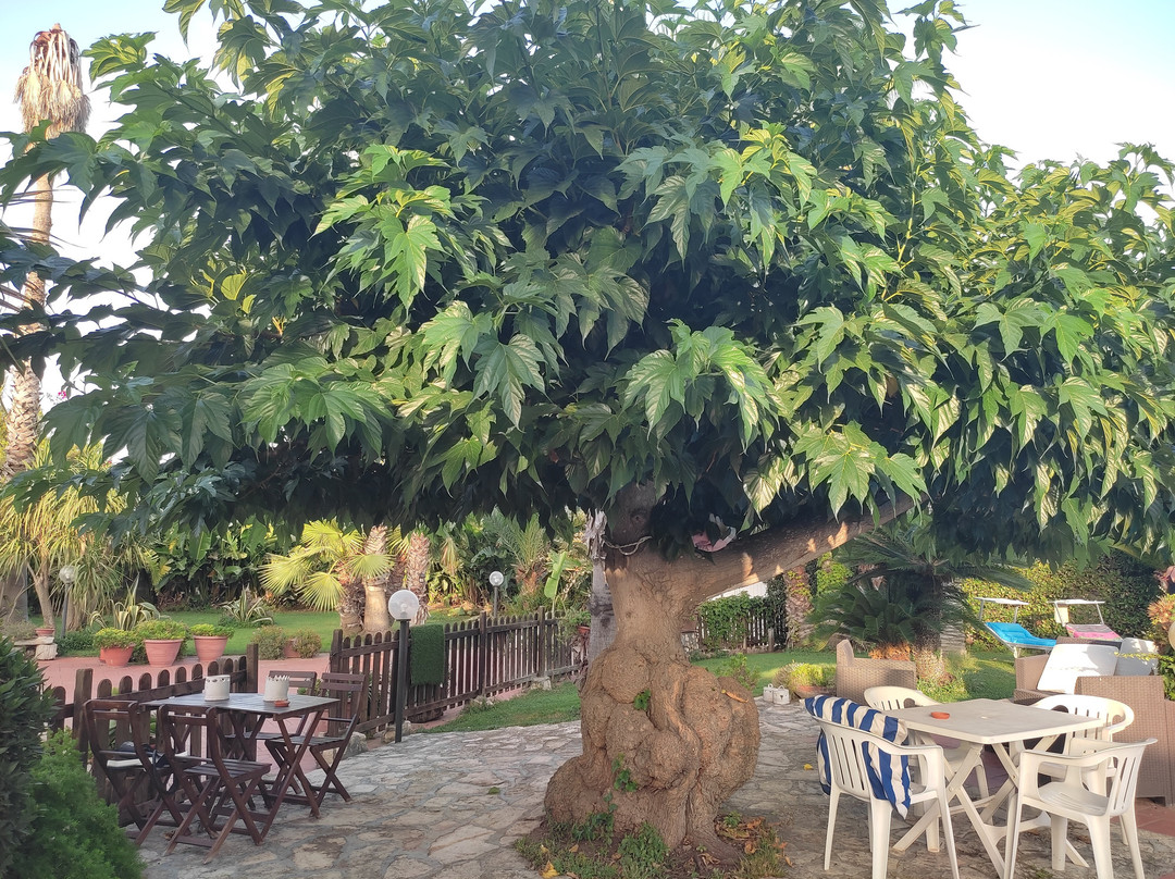 Sole e Sale B&B主图