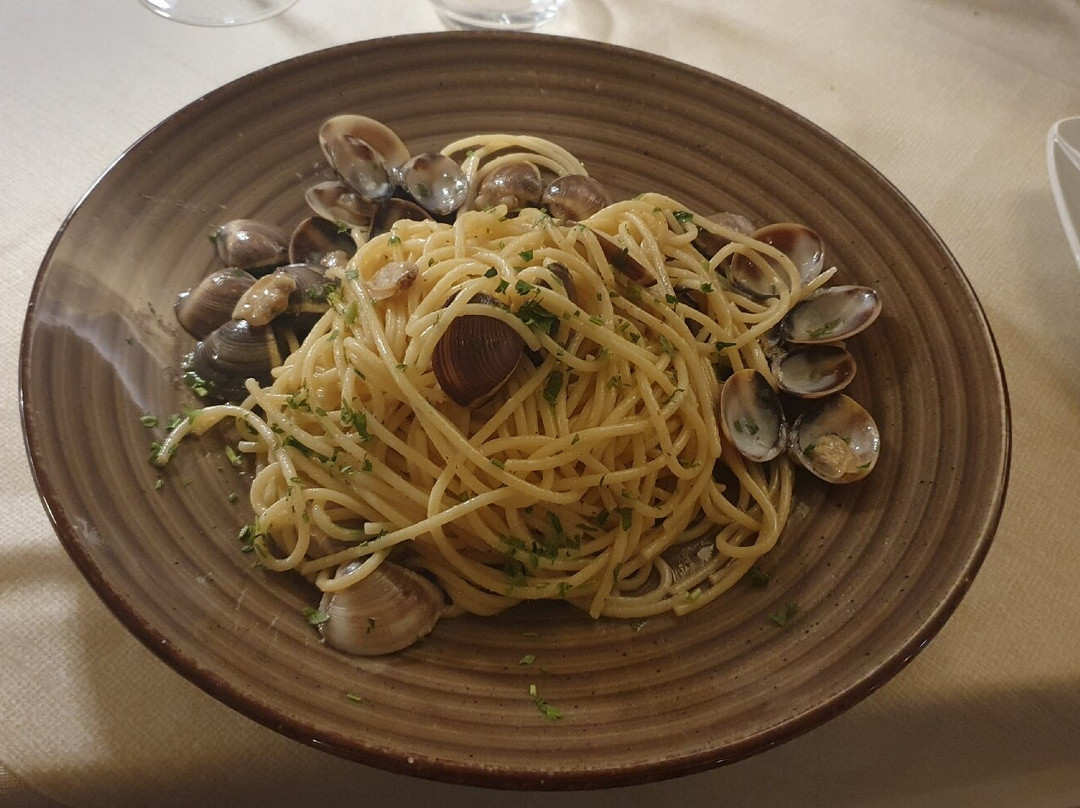 Il Cavalluccio Di Mare