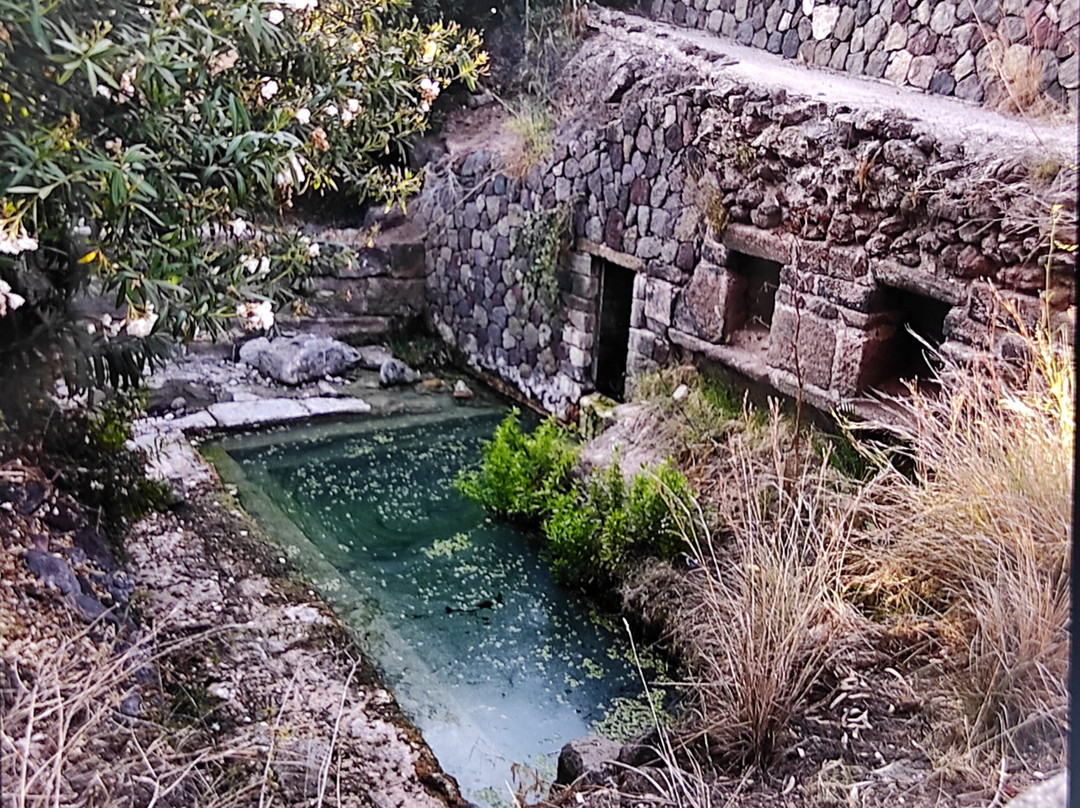 Terme di San Calogero景点图片