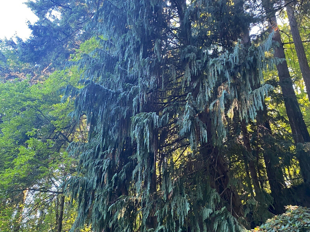 Tumwater Falls Park-塔姆沃特必去景点