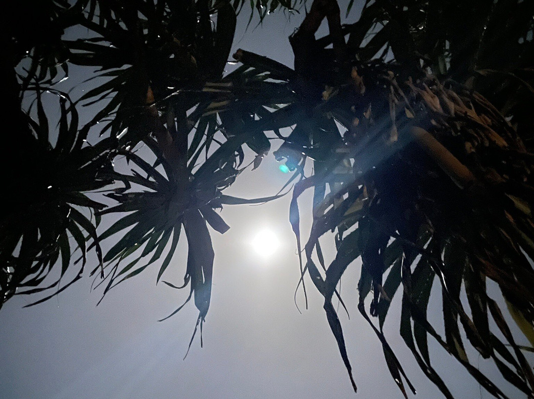 卡巴纳斯森吉斯滨海酒店主图