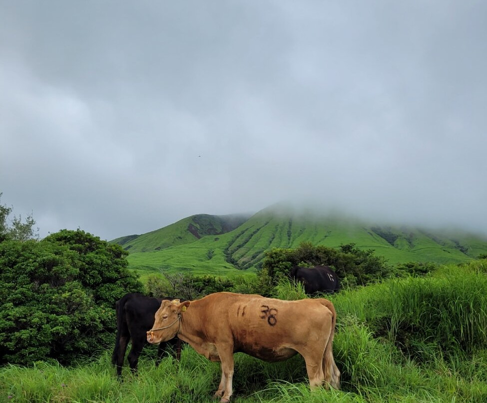 Aso-Kuju National Park-九州-冲绳必去景点