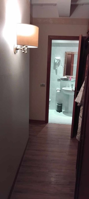 亚特兰大宫殿酒店-浴室