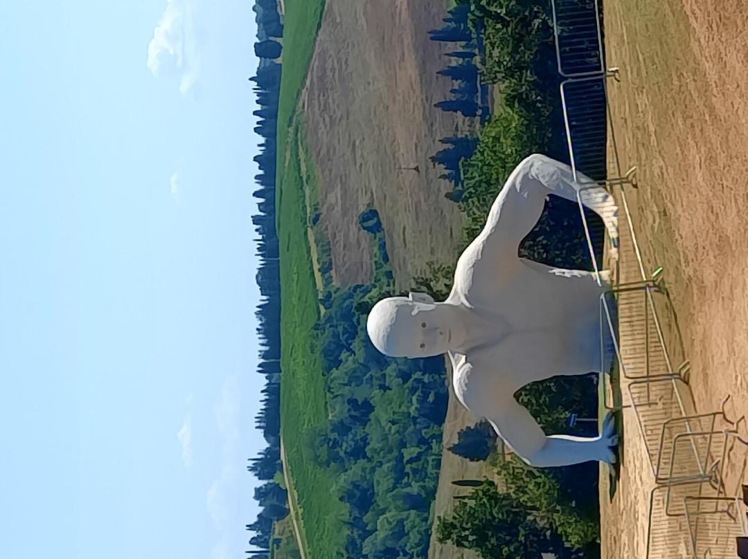 Presenze: L'installazione Di Naturaliter景点图片
