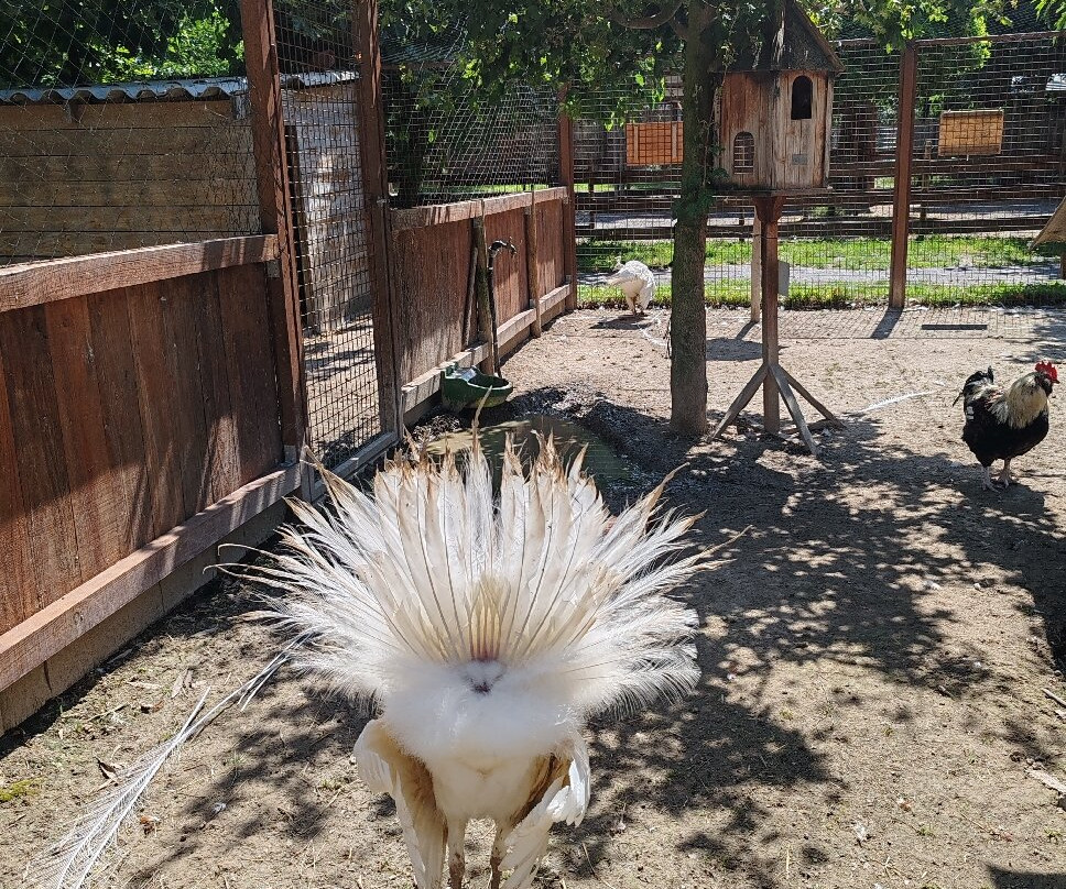 Parc Animalier De Lussas-Lussas必去景点