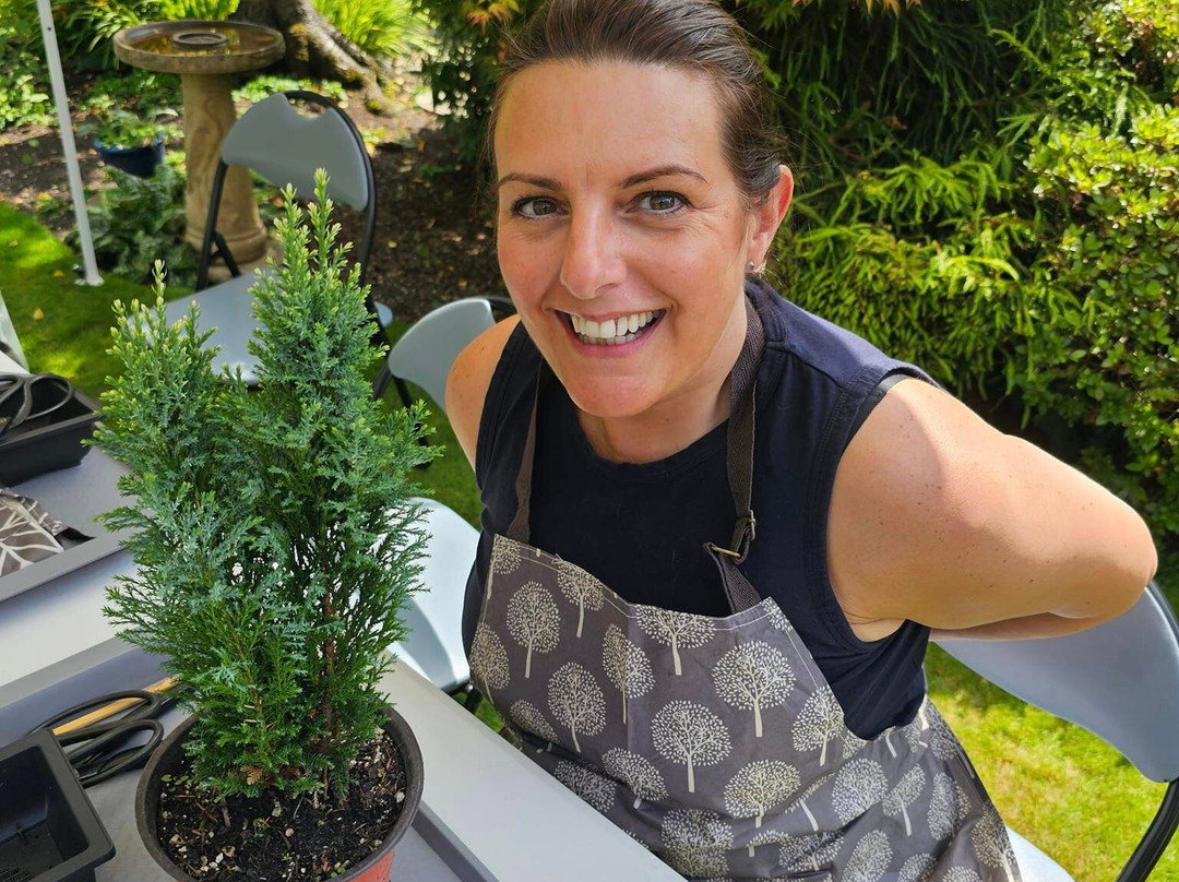 Create a Bonsai with Streamside Trees景点图片
