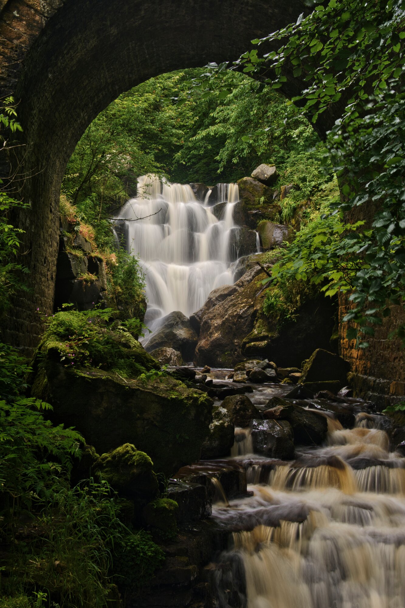 Eastview Bed & Breakfast-官方