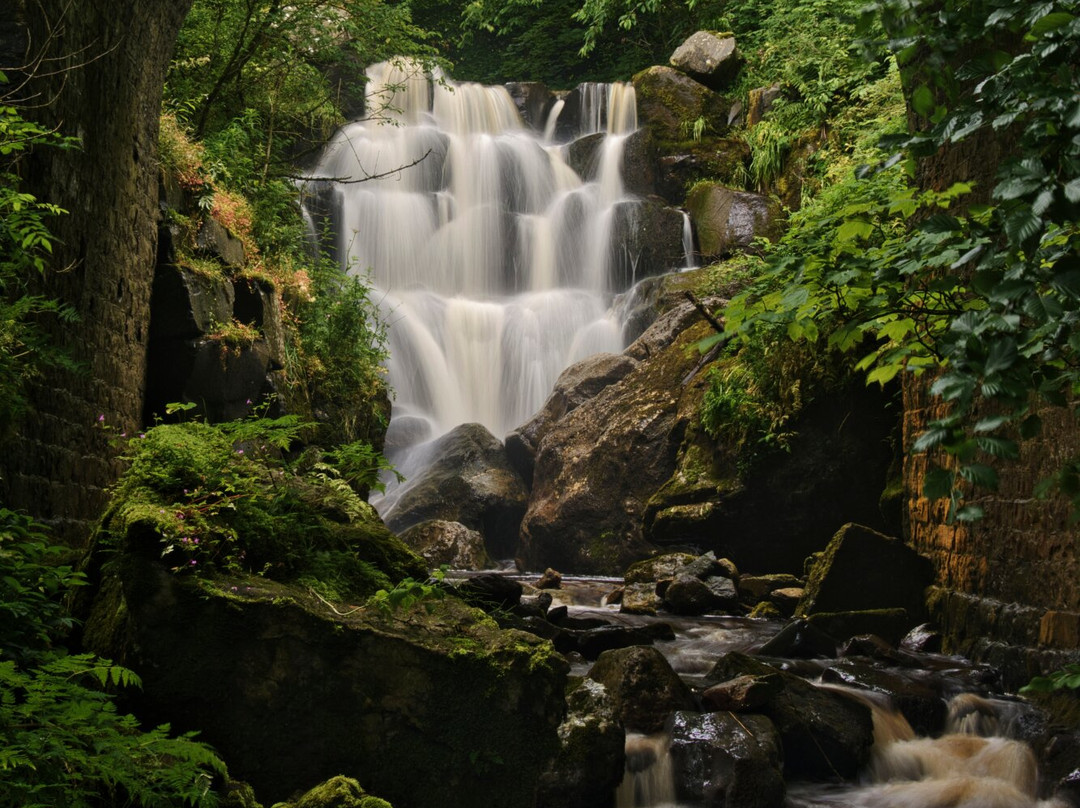 Eastview Bed & Breakfast主图