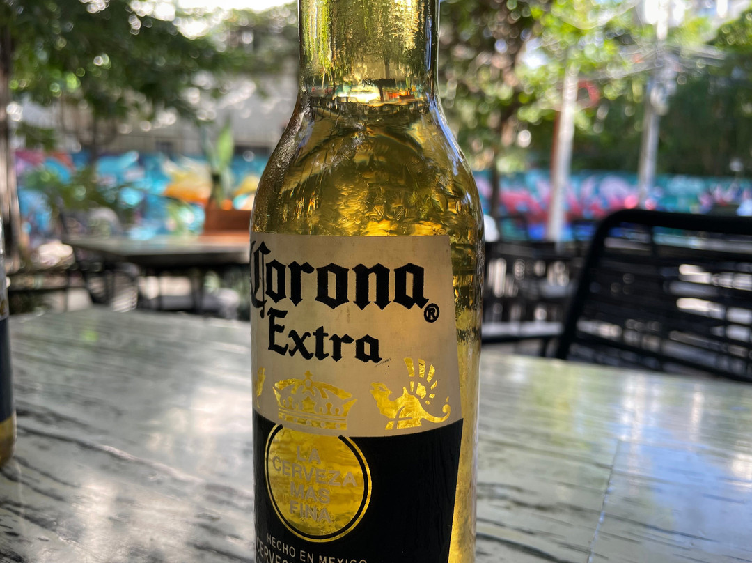 Riviera Moto Adventures-普拉亚德尔卡曼必去景点