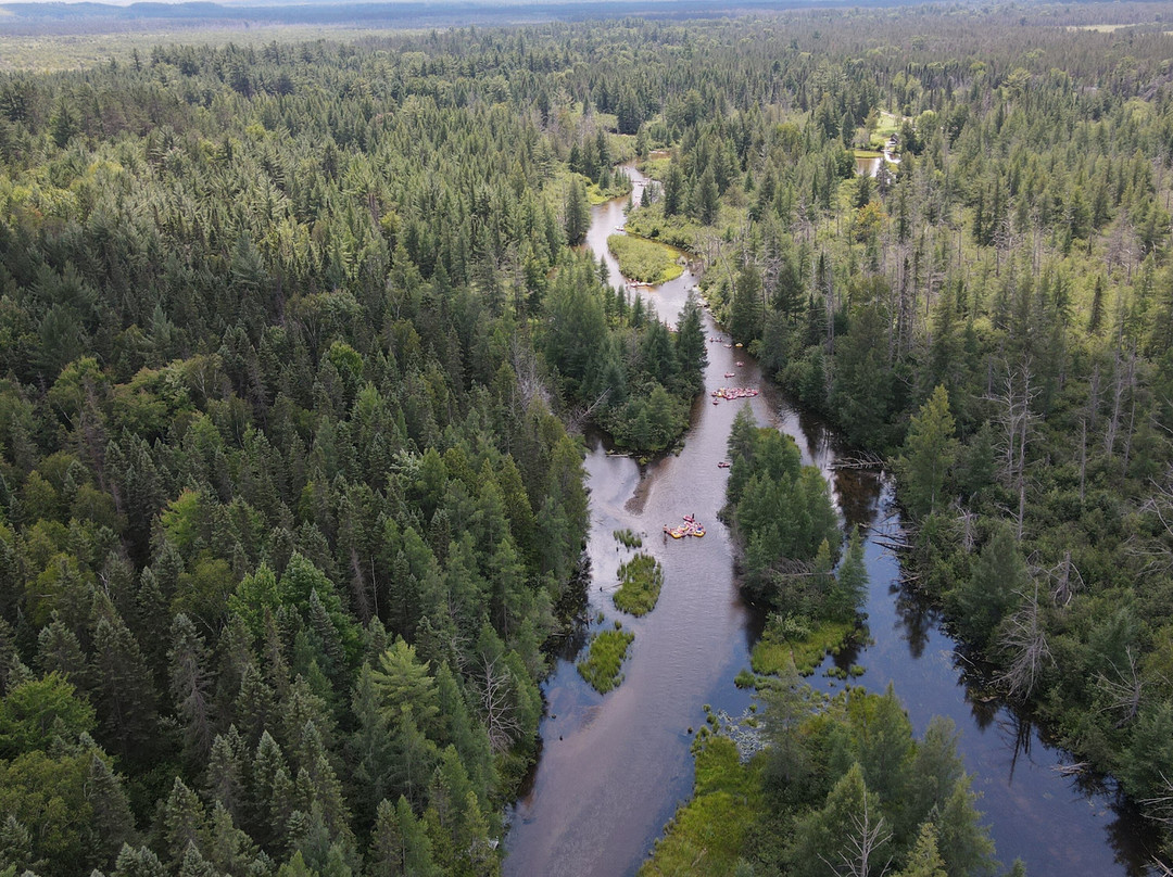 Shel-haven Rentals-Grayling必去景点