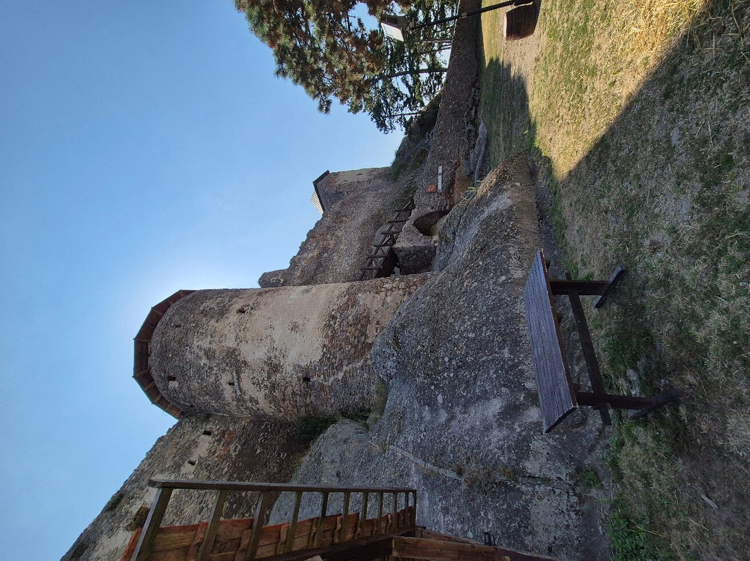 Castle of Boldogko景点图片