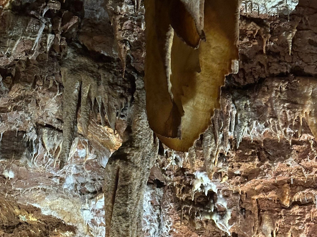 Baredin Cave-Nova Vas必去景点