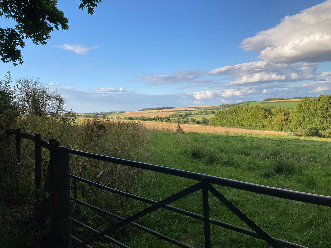 Manor Farm B&B主图