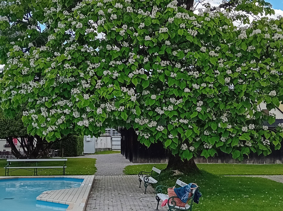 Alpenstrandbad Edlach-Reichenau an der Rax必去景点