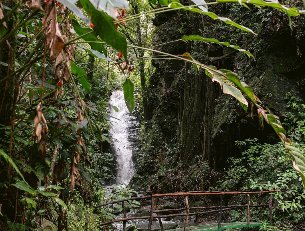 Catarata Los Murcielagos - Monteverde Waterfall景点图片