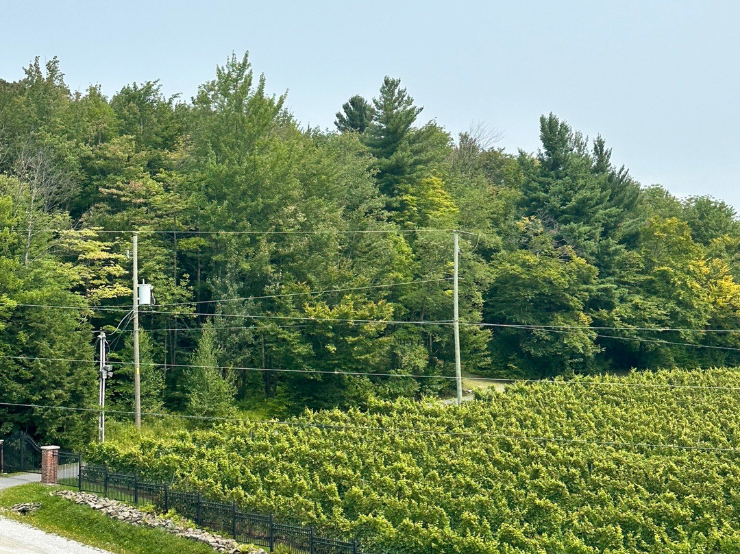 Le Vignoble du Ruisseau-Dunham必去景点