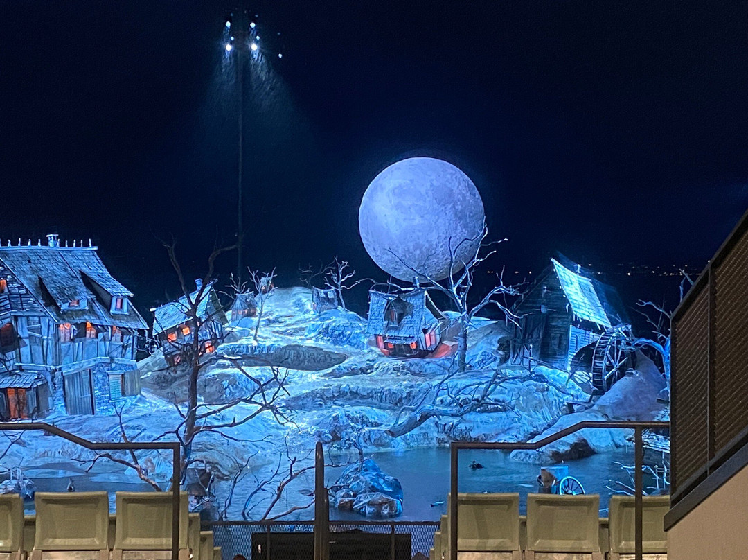 Bregenz Festival景点图片
