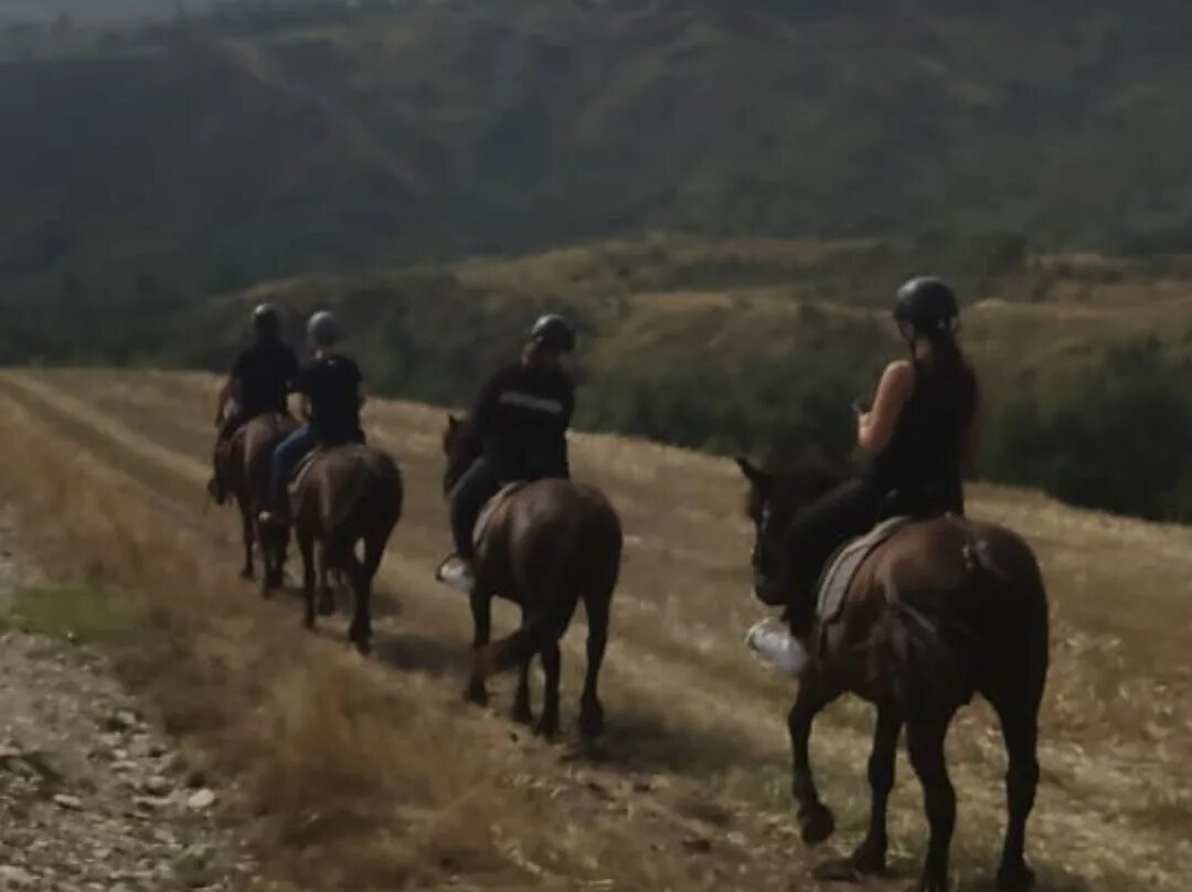 Bardigiani del San Bartolo Turismo equestre-San Leo必去景点