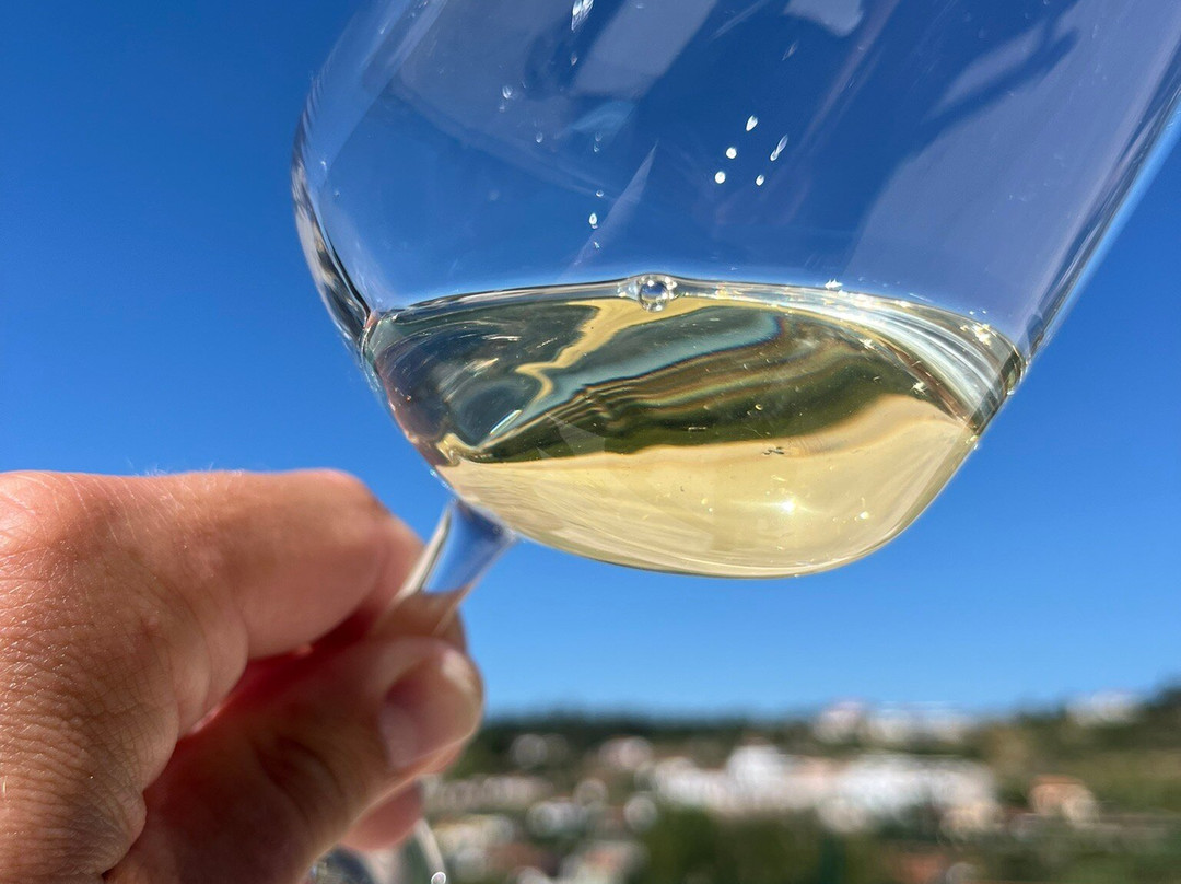 Vinhos Cortém景点图片