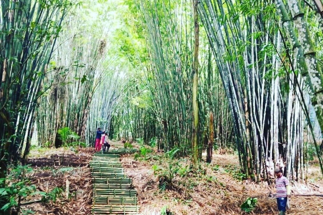 BAMBOO FOREST SANDAN