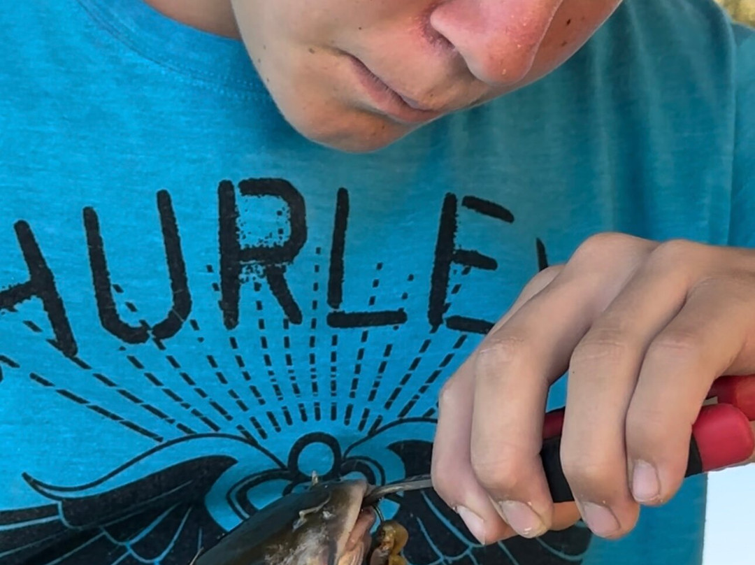 Apollo Community Regional Park-兰开斯特必去景点