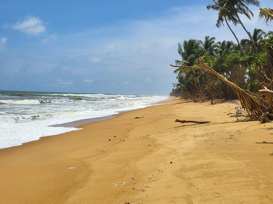 Ranga Tours Kalutara-卡卢特勒必去景点